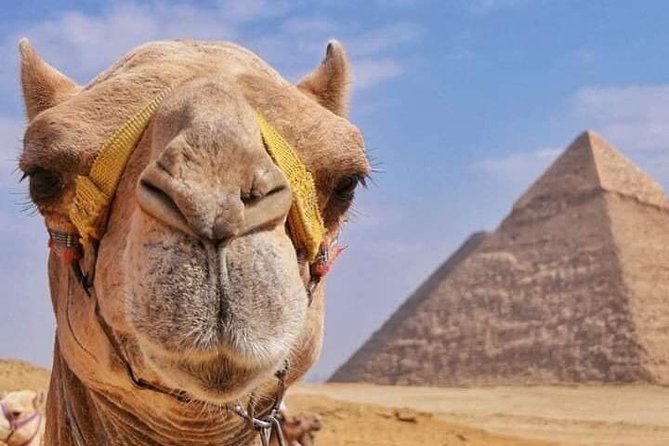 Camel Ride & BBQ Dinner at the Pyramids - Tour Details