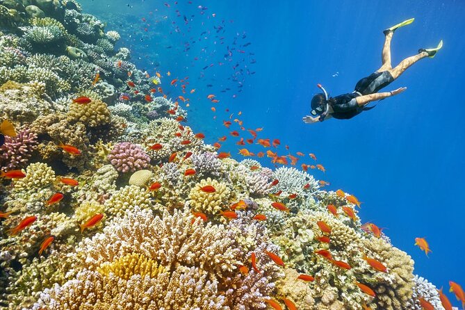 Camel Ride + Blue Hole Snorkeling + Quad Bike Tour With Lunch From Dahab - Inclusions