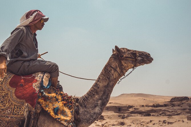 Camel Ride in Aswan + Lunch - Customer Reviews