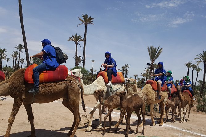 Camel Ride Marrakech - Activity Overview