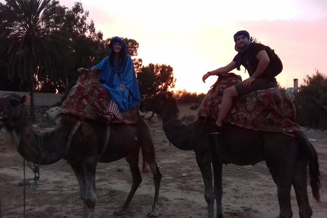 Camel Ride Tours From Agadir & Taghazout