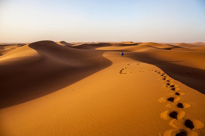 Camel Trekking the Gateway to the Desert - Inclusions: Private Transportation, Meals, Drinks