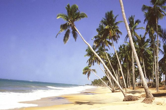 Cape Coast Day Tour From Accra