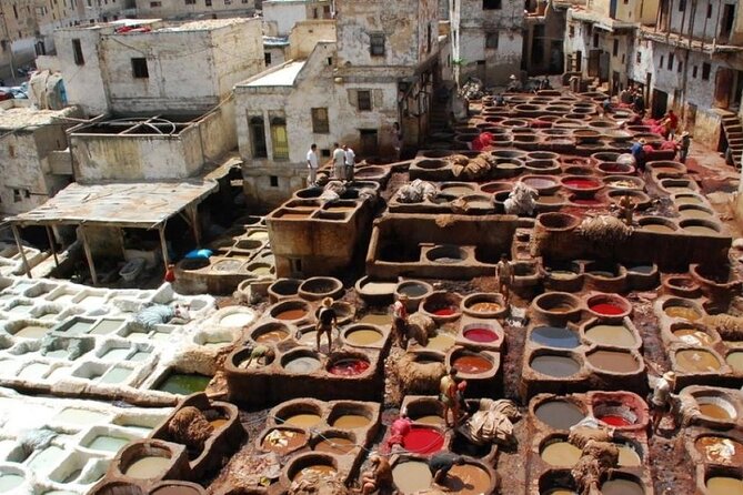 Casablanca to Fez Guided Day Trip Experience - Tour Highlights