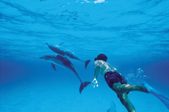 Catamaran Cruise to Ile Aux Bénitiers: Dolphin Watch, Crystal Rock & Transfer - Meeting and Pickup Details