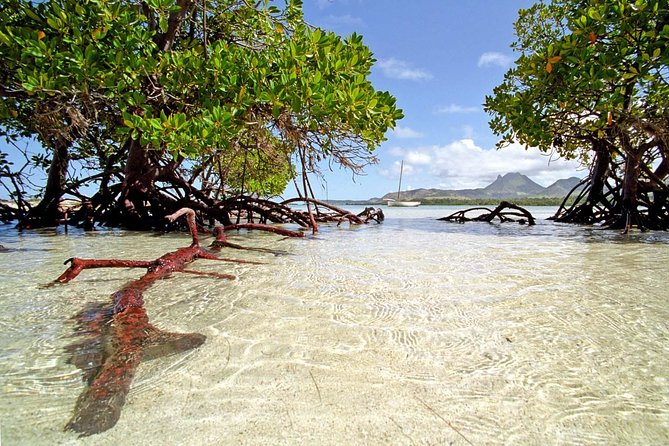 Catamaran Experience to Ile Aux Cerf: Incl: Parasailing, Lunch, GRSE & Transfer - Customer Feedback and Reviews