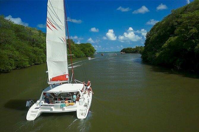 Catamaran Fullday Guided Tour to Ile Aux Cerfs From Pointe Jerome - Itinerary Overview