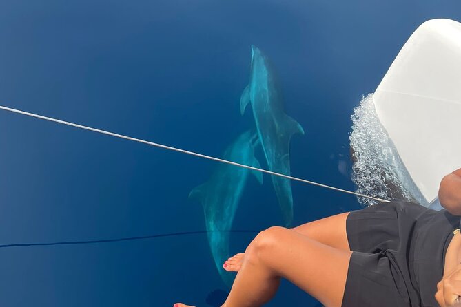 Catamaran Half Day - Beautiful Day on the Atlantic Ocean - Customer Reviews and Experiences