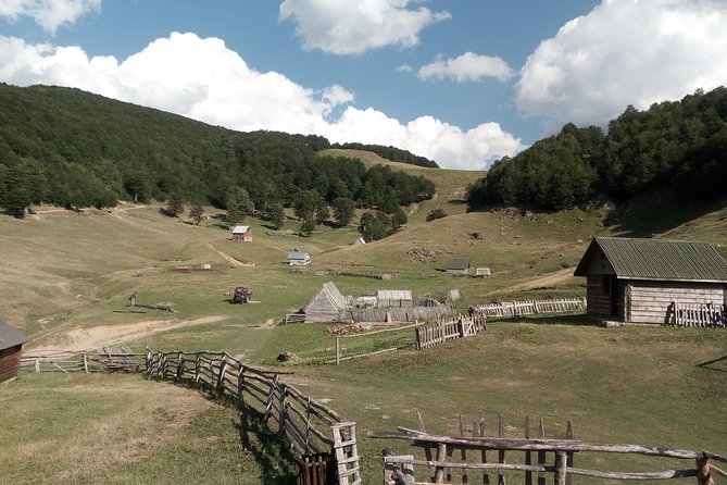 Cheese Farm Tour in the Katun - Tour Overview