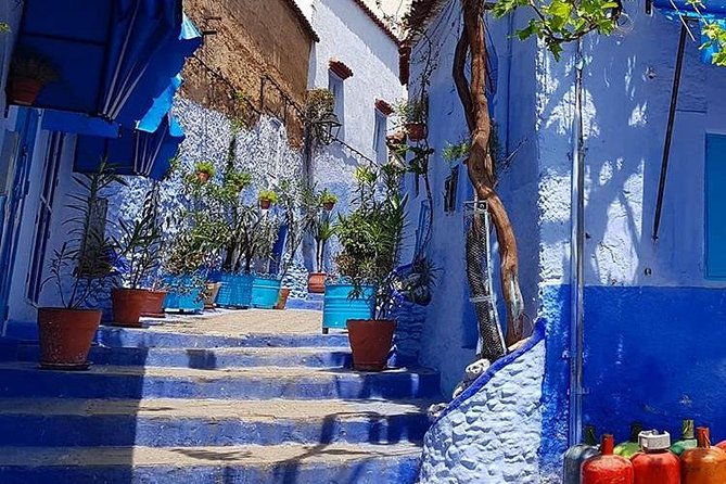 Chefchaouen Day Trip From Fez - Itinerary Highlights