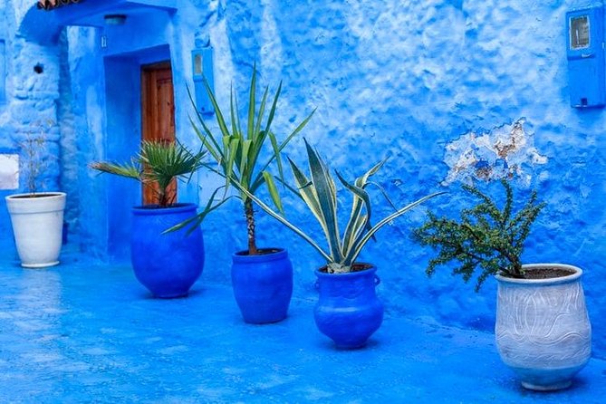 Chefchaouen Guided Tour From Fez With Skip the Line Access