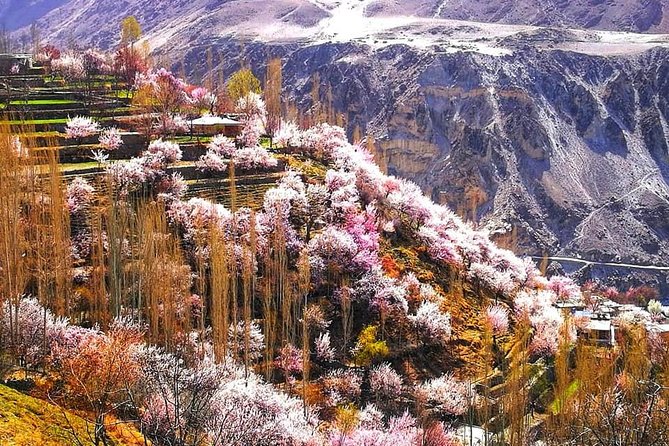 Cherry Blossoms Trip to Northern Areas of Pakistan 2020 (8D 7N) - Trip Highlights