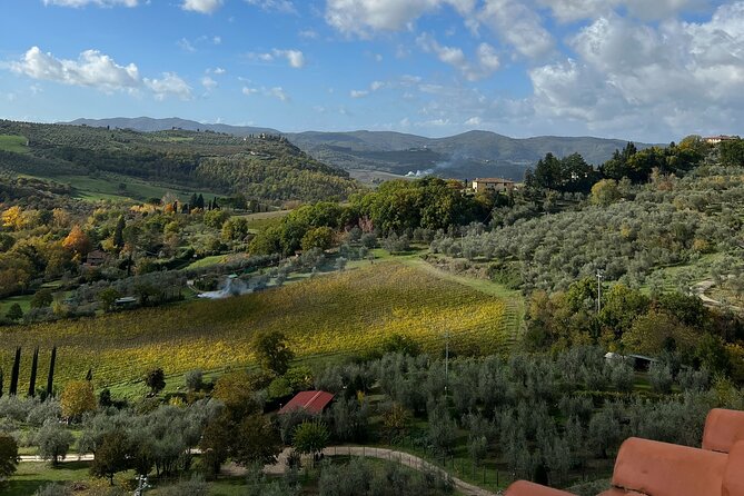 Chianti Wine Tastings and Visit to 3 Cellars With Lunch&Transfer - Transportation