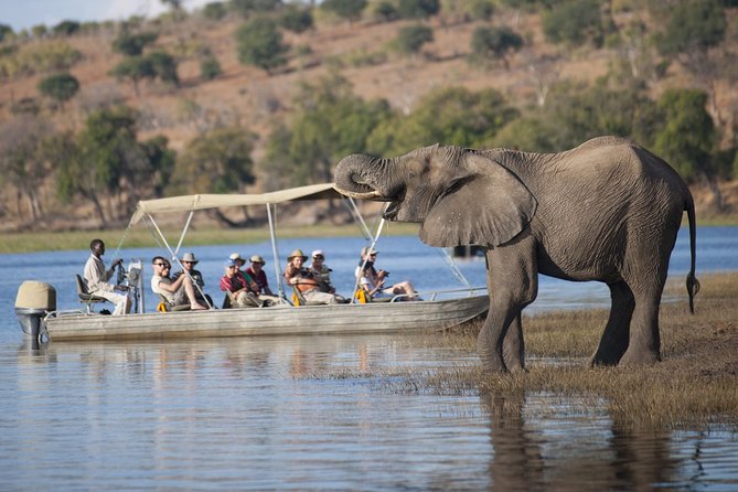 Chobe Day Trip Ex Livingstone / Victoria Falls - Tour Details
