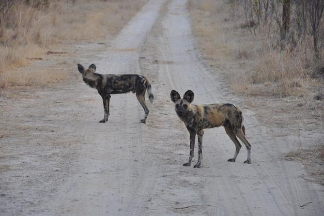 Chobe Full Day Safari With Victoria Falls Sunrise Tour Combo - Inclusions and Exclusions