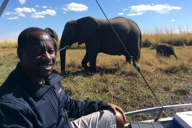 Chobe Full Day Trip - Tour Highlights