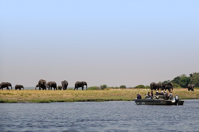 Chobe Full Day Trip From Victoria Falls - Inclusions
