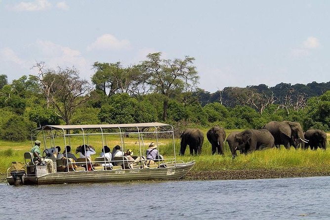 Chobe Half Day Trip - Trip Overview