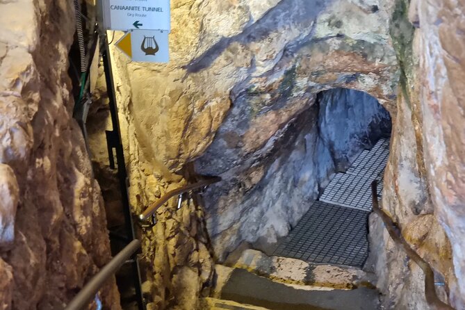 City of David Private Guided Tour - Booking Information