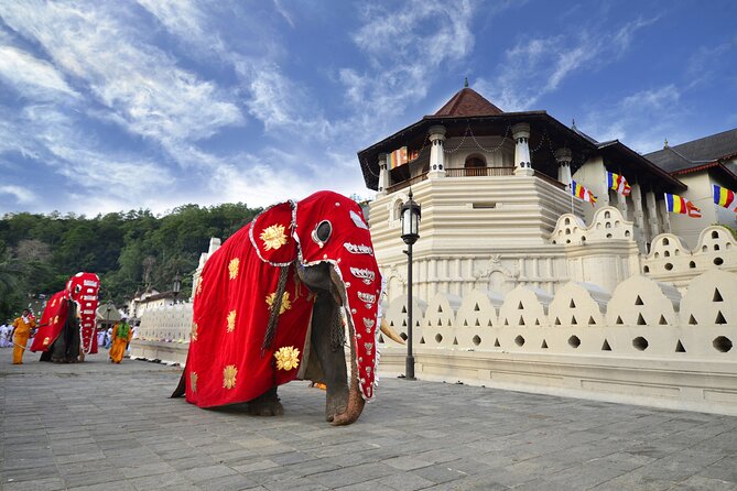 Classical Sri Lanka (7 Day Guided Round Tour) - Inclusions and Amenities