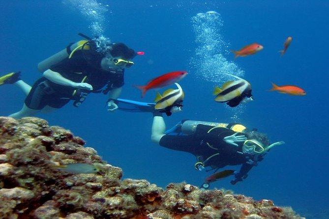 Coral Garden Amazing Snorkeling Sea Trip & Intro Dive With Transfer - Marsa Alam