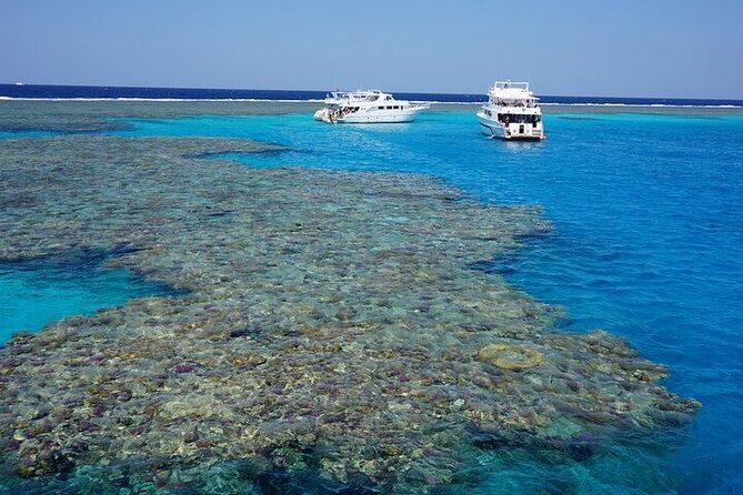 Coral Garden Reefs Snorkeling Boat Trip From Marsa Alam - Booking and Price