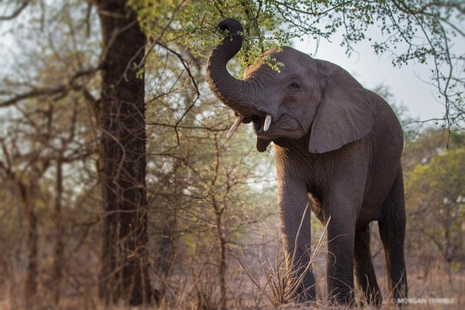 Custom 2 Days Akagera Wildlife Tour - Tour Details
