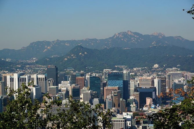 Customized Private Seoul Tour: Palace, Market Etc(Airport Option)
