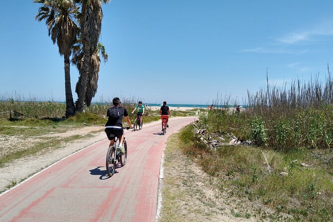 Cycle Albufera Lake, Rice Fields Paella and Boat Ride With Beach - Location