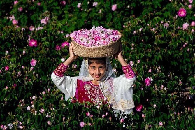 Damascus Roses - Discover the Secrets of Al Jabal Al Akhdhar - Meeting and Pickup Information