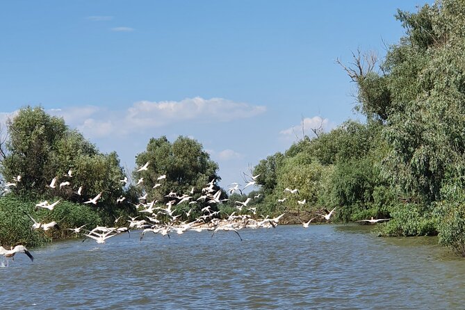 Danube Delta Private Day Trip From Bucharest
