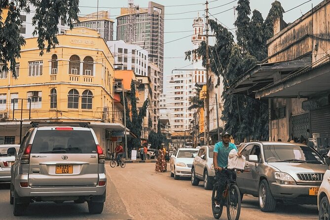 Dar Es Salaam City Sightseeing Private Tour - Tour Details