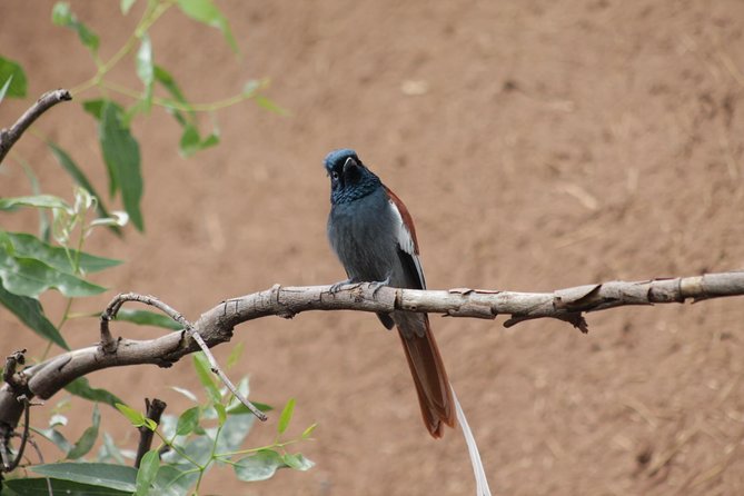 Day Hike Around Lalibela - Trail Difficulty and Length