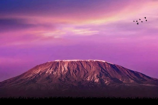 Day Hike to Mount Kilimanjaro (Mandara Hut) - Inclusions and Exclusions