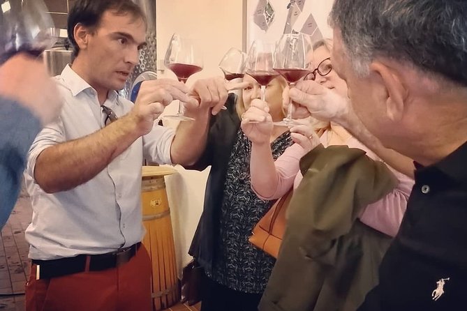 Day in Saint-Emilion - Medieval Village and Wine Tasting - Scenic Vineyards and Châteaux