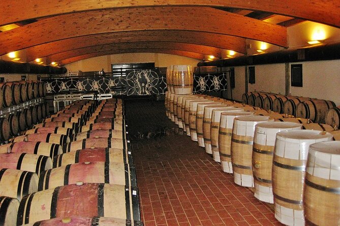 Day of Tastings in the Land of Super Tuscans From Lucca
