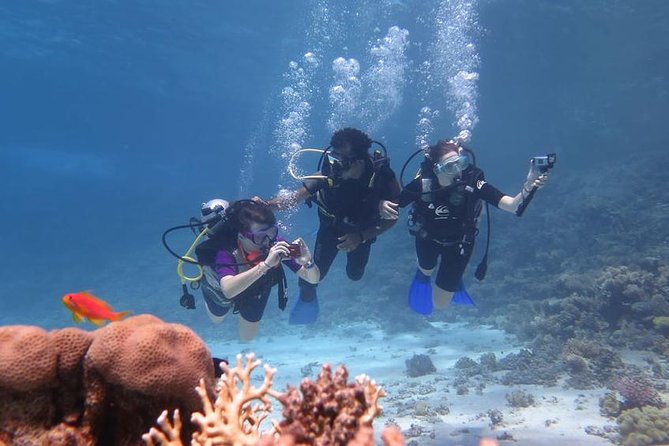 Day Scuba Diving Trip From Hurghada - Trip Overview