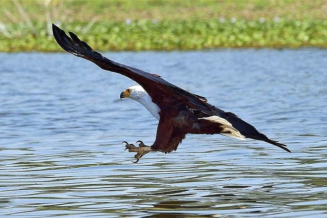 Day Tip -Lake Naivasha and Hells Gate National Park From Nairobi - Tour Details