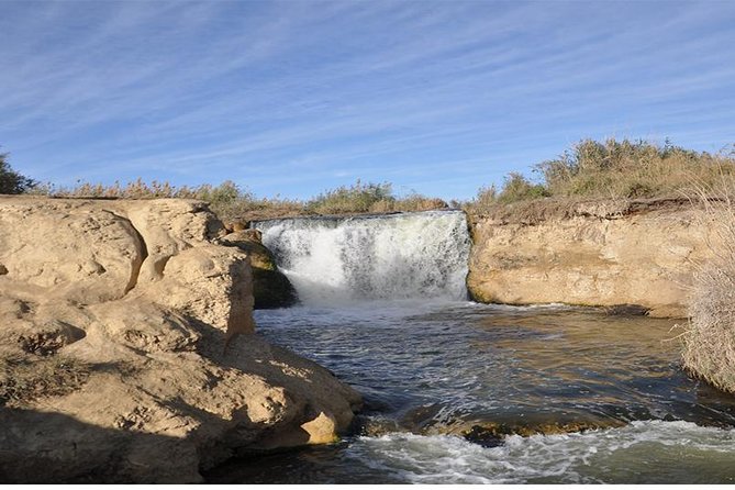 Day Tour to Fayoum Oasis From Cairo or Giza