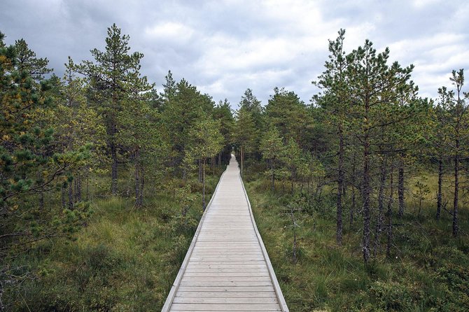 Day Tour to Magical Bog Shoe Walking Tour