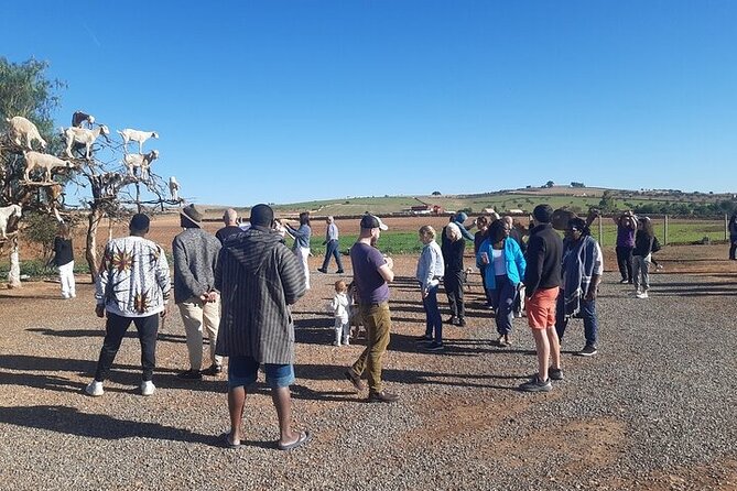 Day Trip Essaouira From Marrakesh - Trip Details