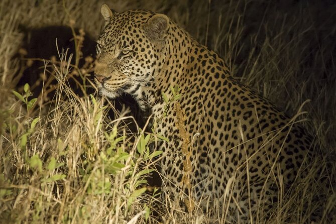 Day Trip Safari to Tarangire National Park - Park Entrance and Fees