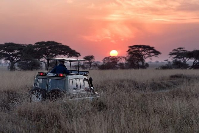 Day Trip - Tarangire National Park - Additional Information