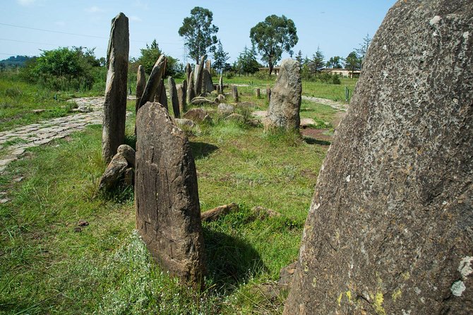 Day Trip to Adadi Mariyam, Tiya and Melka Kunture