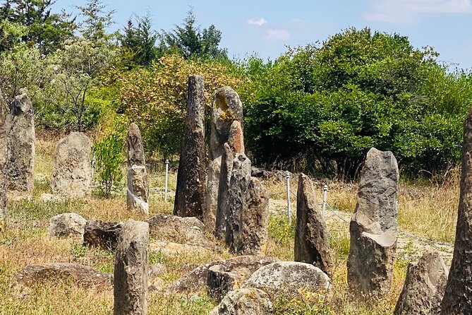 Day Trip to Adadi Rock and Tiya Archeological Excursion - Reviews