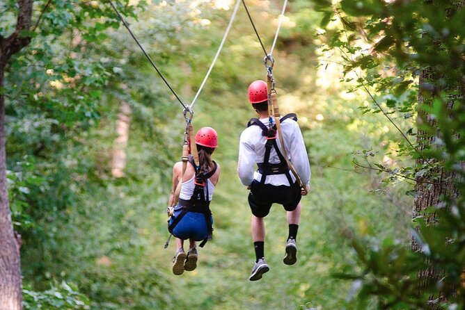 Day Trip to Kereita Forest and Ziplining - Ziplining Experience