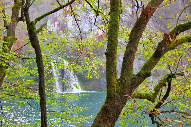 Day Trip to Plitvice Lakes National Park From Sibenik - Trip Details