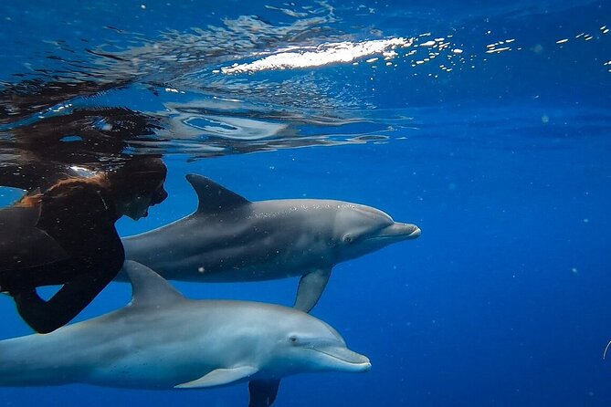 Day Trip to Ponta De Ouro Beach / Dolphin Swim Tour + Snorkel - Itinerary Overview