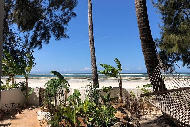Day Trip to Zanzibar From Dar Es Salaam - Itinerary Highlights