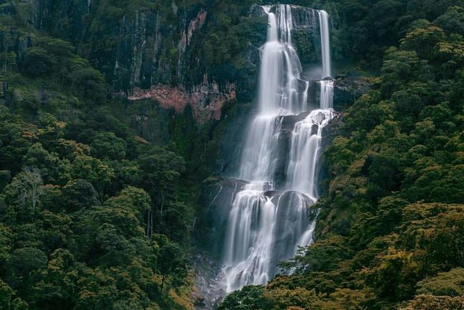 Day Trip Tour To Udzungwa Mountains National Park - Maximum Group Size